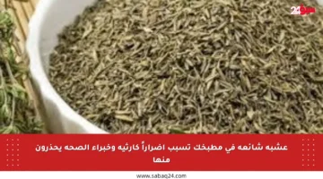 عشبة شائعة في مطبخك تسبب أضراراً كارثية وخبراء الصحة يحذرون منها